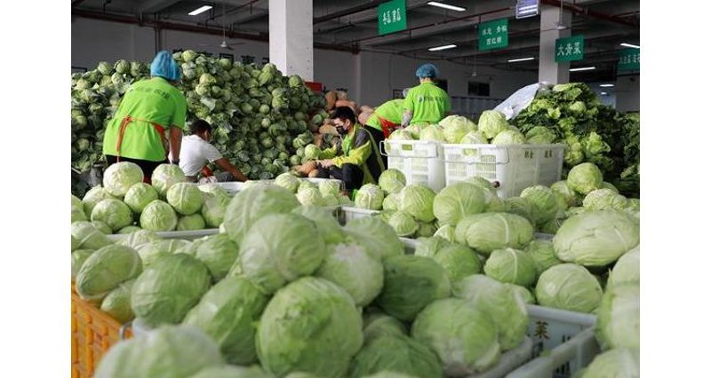 工具推荐类：临海果蔬批发市场的实用工具与资源